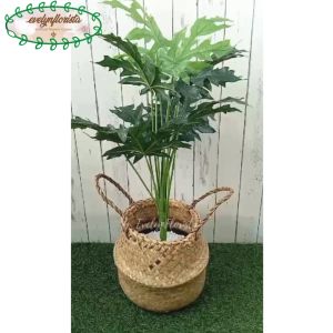 Pohon Hias Daun Papaya Leaf X12 Semi Latex Pot Dasar Hitam Cover Anyaman Purun Belly Handle Small Hiasan Ruang Tamu
