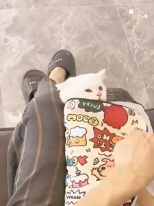 Multi-functional Colorful Cat Wrap Cat Anti Scratch and Anti RunTowel Fixed Grooming Bathing Calming