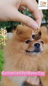 MEOWOOF Cat Name Tag Dog Tag Cat Tag Pet Name Tag Pet Tag Dog Name Tag Cat Collar Name Cat Custom Name Tag Dog ID Tag