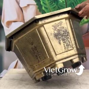 Chậu Nhựa Giả Đồng Bát Giác kích thước Miệng x Cao x Đáy: 69cm x 40cm x 48cm 92 Lít