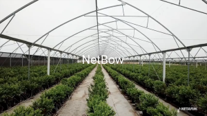 NETAFIM: NETBOW 12cm (4 outlets 2-8L/H) 25cm (8 outlets 2-12 L/H) | Irrigation System