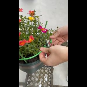 6pcs/Set Tiang Penyangga Tanaman Pot Hias Plastik Tongkat Tanaman Orchard