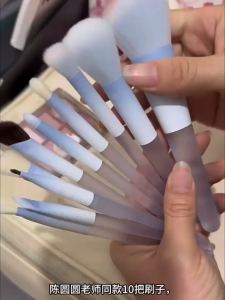 Refined Radiance 10-Pc Pro Makeup Brush Set Complete Kit with Soft Bionic Fibre Bristles for Face Eyeshadow Contour & Blush