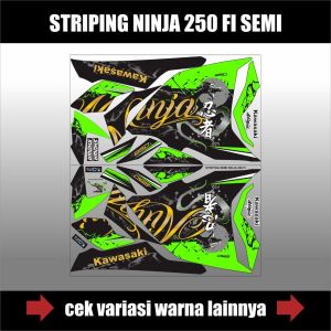 DECAL STIKER SEMI FULL BODY MOTOR NINJA250 FI OLD / STICKER STRIPING KAWASAKI NINJA 250 FI OLD / STOCK DECALS NINJA FI