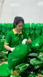 Trà túi lọc cà gai leo Sadu bịch 250g ( 50 túi lọc)- mát gan- thải độc gan-hạ men gan-ức chế virus