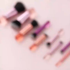 10pcs Portable Makeup Brush Set Eyeshadow Foundation Blush Blender Concealer Beauty Makeup Brush Set