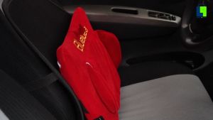 BLUE IDEA Shiatsu Infrared Massage Cushion: Your Personal Massager