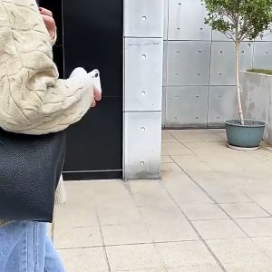 Korean Fashion Large Capacity Shoulder Tote Bag for Women