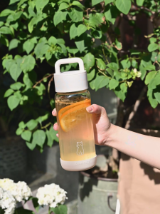 Zowoki GN High Borosilicate Glass Water Bottle with Mini Storage (710ml)