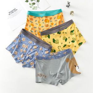 Teenage Boys Modal Underwear Boxer Shorts Middle School Students Flat Angle Pants High School Boys Development Period