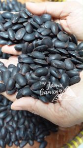 Biji Kedawung 50gr atau Kedaung Asli Hutan - Lebih Berkhasiat!!