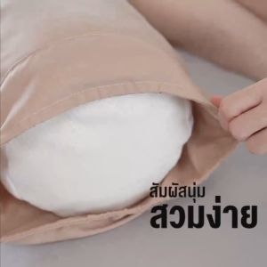 SiamLatex Glada ปลอกหมอนข้าง ผ้าคอตตอน สีพื้น ระบายอากาศได้ดี ไซส์มาตฐาน
