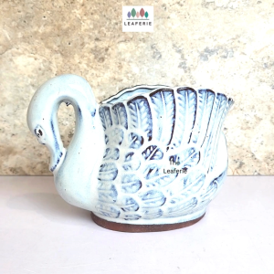 The Leaferie Garcon Swan plant pots Ceramic flowerpot flowerpots flower pot planter planters