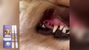 Pet Oral Repair gel Deep Cleaning Dog Cat Tooth Stains Oral Cleaning Care