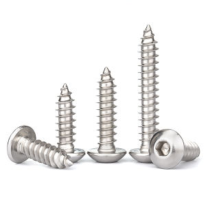 Yi Se Dian Zi | 304 Stainless Steel Half Round Head Internal Hexagon Self-Tapping Screw