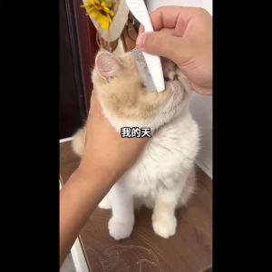 Pet hair comb Dog cat Flea Comb Dog Eye Combs Pet Tear Stain Remover Combs stainless steel needle fur comb
