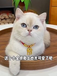 VÒNG CỔ 3 CHUÔNG CAO CẤP PHONG CÁCH CỔ ĐIỂN PHỤ KIỆN SANG TRỌNG CHO CHÓ MÈO