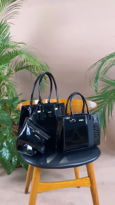 MICHAELA Luxury Satchel Bag Set 3 PCS Crocodile Suede Crossbody Bag for Party Office HB5506039 LX