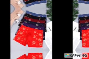 Celana Dalam Pria 2 pcs Underwear Boxer Ice Silk Ukuran 2XL (70 – 77.5 kg) 786