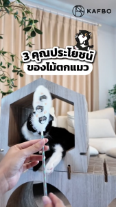 KAFBO ไม้ตกแมวขนนกปลอดสาร Pigeo Stick คละสี ไม้ล่อแมว ไม้ตกแมว ของเล่นล่อแมว, ของเล่นแมว