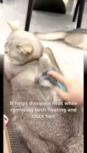 New Professional Self Cleaning Dog Comb Comfortable Handle Long Short Hair Pet Brush Grooming Effective Deshedding Tool Brush