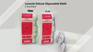 Lunavie Disposable Maternity Panty