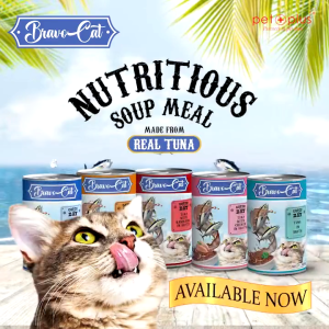 400g Bravocat Real Tuna Soup Meal Cat Cats All Stages Adult Kitten Pet Can Wet Food Pet Essentials