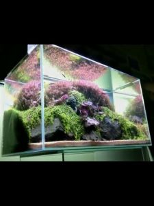 YEE Fish Tank Crystal Tank Transparent Fish Tank - Ultimate Aqua With 5mm Thick Glass