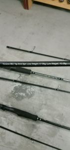 SHIMANO NEXAVE SPINNING FISHING ROD