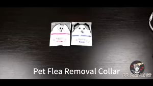 Pet Flea Tick Mosquito Collar for Cats Dogs Long Lasting 90 Days Waterproof Adjustable Anti Parasite Necklace DD CAT & PET