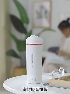 【SG Local】Portable Insulated Electric Kettle Auto Shut Off Boil Dry Protection Milk Hot Water Boiler for Travel Car Office Electric Kettles