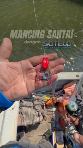 SOTELO SKIRT RAMBLER 35MM 6.3g Soft Rubber Frog Expert For Snakehead Hunter