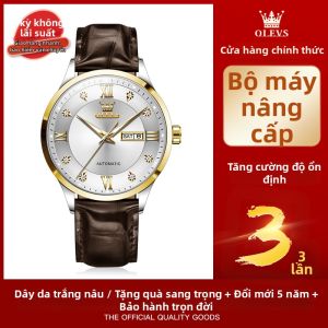 OLEVS | Đồng Hồ Cơ Tự Động Dây Da