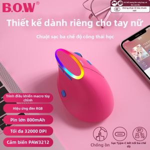 B．O．W | Ergonomic Wireless Bluetooth RGB Charging Mouse
