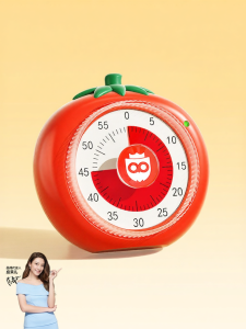 MPRINCE | Children Learning Visual Time Manager Clock
