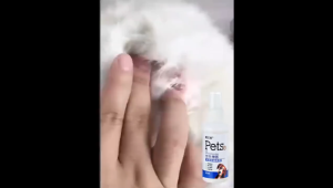 50ml Pet Antibacterial Spray Dog Cat Gentle Anti-Fungal Safe Formula Skin Disease Treatment For Tick and Flea