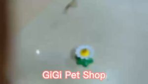 Bướm quay vòng đồ chơi cho thú cưng chó mèo bằng thép và nhựa cao cấp giải trí vờn bắt (không kèm pin) - GiGi Pet Shop