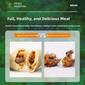 BESSN | Frozen Dried Freshwater Fish Feed for Young Turtles