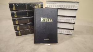 SMALL TAGALOG HARD BOUND WITH THUMB INDEX - ANG BIBLIA OF 1982 / LUMA AT BAGONG TIPAN / HANDY SIZE / COMPACT / FOR GIVEAWAYS