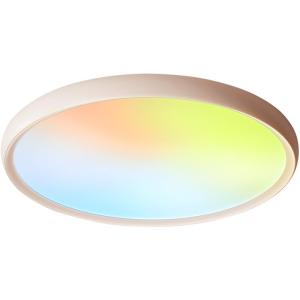 Stylish Ambient Smart Ceiling Lamp