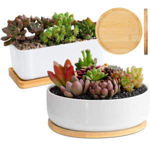 Multi Container Storage Trays Shower Shampoo Body Wash Cosmetics Dispenser Holder Bamboo Wood Tray Bathroom Kitchen Pot Holder