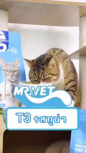MR.Vetอาหารแมว T3 50g อาหารแมว การดูแล เหมาะสำหรับแมวทุกวัย