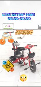 Sepeda Anak Roda 3 Tiga Tricycle Aviator AT 306 7 Dorongan - Lazada