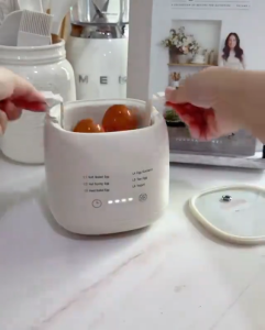 Z-Gadget⚡Electric Egg Boiler Egg Cooker 300W 4 Egg Boiler Capacity Automatic Quickly Cooked Multifunctional Egg Steamer Egg Cooker Multifunctional Four Egg Boiler Steamer Boiling Machine Household Automatic Power Off Egg Steamer 煮蛋器
