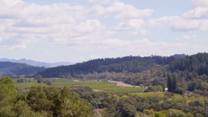 Napa Highlands Cabernet Sauvignon 2020 United States California Red Wine 750ml 14.5%