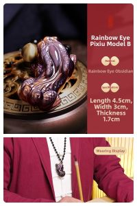 JIZHAOTANG | Natural Colorful Obsidian Wealth Amulet Pendant