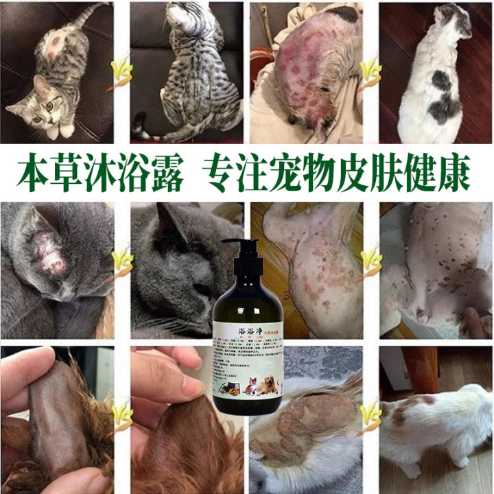 Cat Ringworm Medicated Bath Dog Fungus Shower Gel Cat Lotion Shampoo