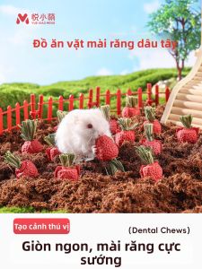 YUEXIAOMENG | Nutritious Chewable Snacks for Small Pets