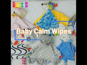 730Baby Baby Toy Super Soft Calm Wipes Rattle Placate Towel Baby Rattle Pillow