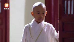 ADD ON 2013 加购 NOT FOR SINGLE SALE 非单卖商品 粤语中字  仁心解码 巨轮 师父明白了 冲上云霄 II 情越海岸线 情逆三世缘 金枝慾孽 神探高伦布 神枪狙击 TVB Drama